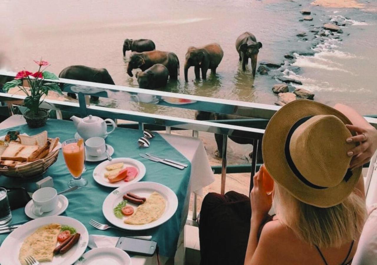 Hotel Elephant Park - New Deal! Half Off Airport Pickups Available Pinnawala  Εξωτερικό φωτογραφία