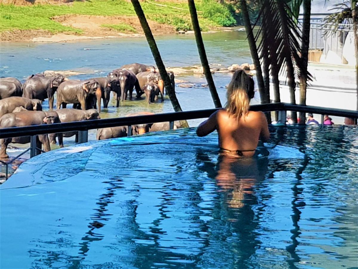 Hotel Elephant Park - New Deal! Half Off Airport Pickups Available Pinnawala  Εξωτερικό φωτογραφία