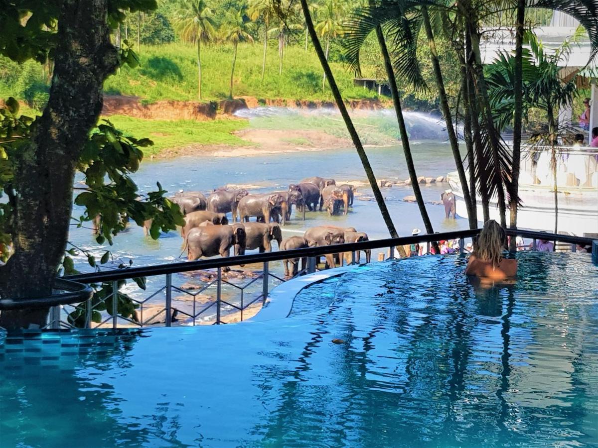 Hotel Elephant Park - New Deal! Half Off Airport Pickups Available Pinnawala  Εξωτερικό φωτογραφία
